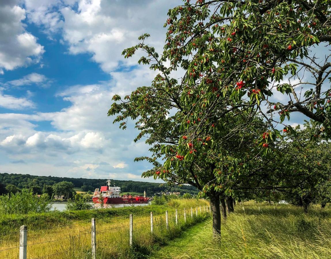 Maison Normande Au Bord De Seine, Le Verger De Pacome Anneville-Ambourville Luaran gambar